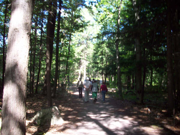 Photo: The Daily Morning Walk Remains Popular
Photographer: Lisa van Beusekom