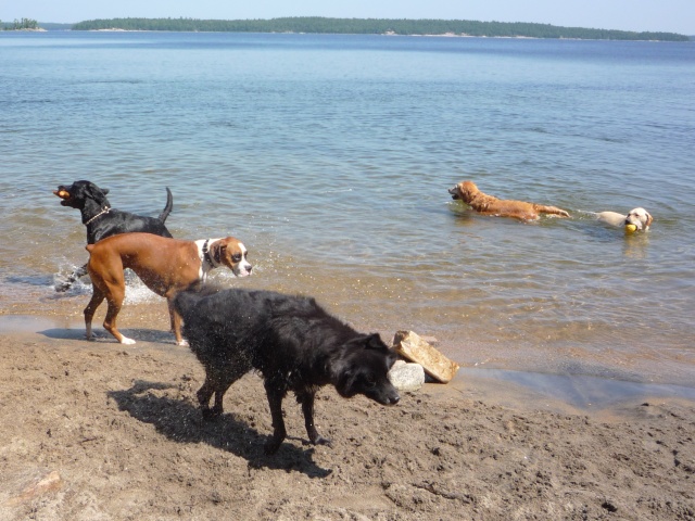 Photo: Beach Buddies