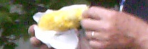 Photo: Eating Corn