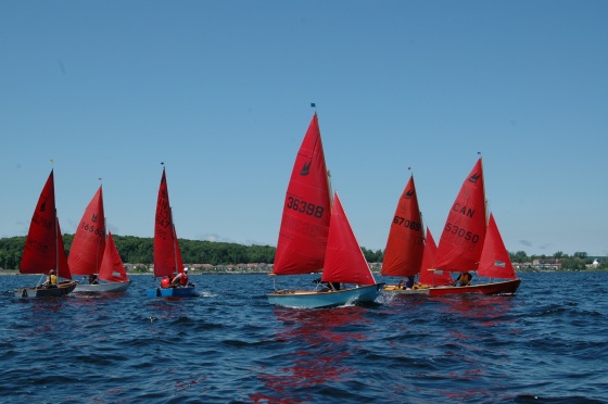 Photo: A Lot of the Fleet Opts to Start on Port Tack