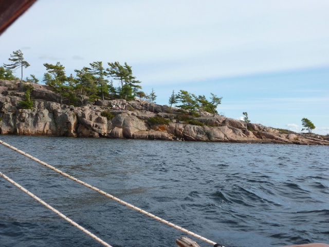 Photo: Crazy Jumpers on Harold Point