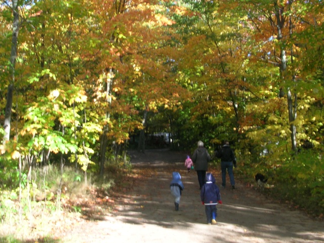 Photo: Out for a Walk