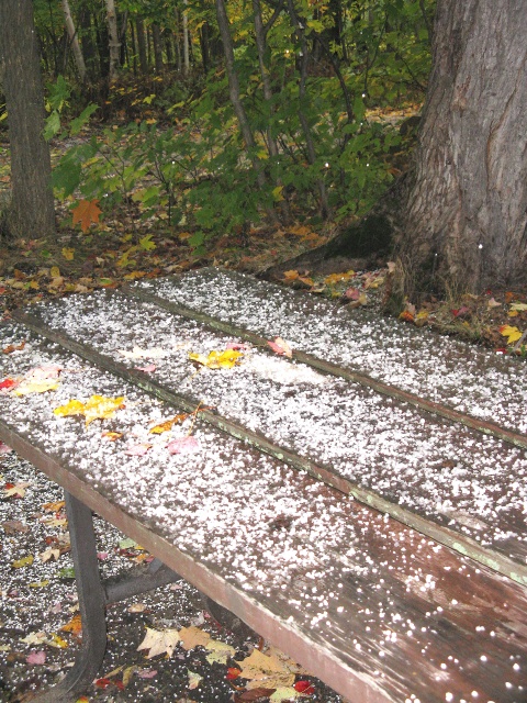 Photo: Hail on the Picnic Table