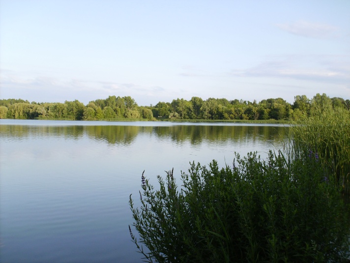 Photo: Pittock Lake