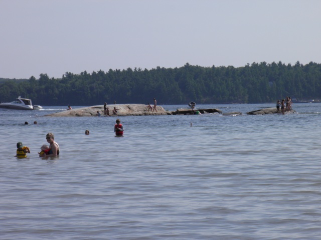 Photo: A Busy Day on Seagull Rock