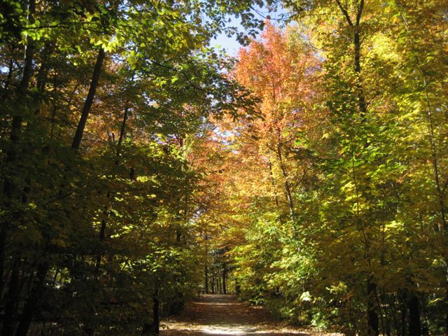 Photo: Quiet Roads in the Campsite