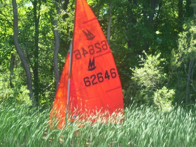 Photo: You're Supposed to Sail on the Water, Not in the Weeds!